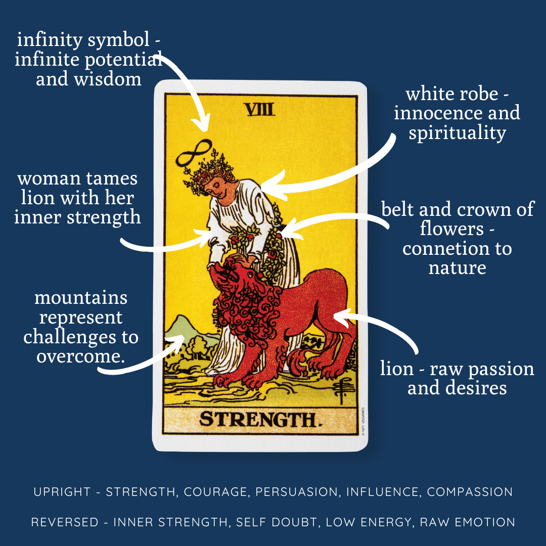 The Meaning Of The Strength Tarot Card Tarot From Scratch The Meaning Of The Strength Tarot Card Tarot From Scratch